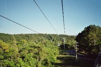 Mit dem Sessellift über den Regenwald