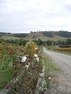 Im Yarra Valley